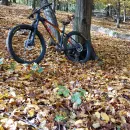 ElementStore | trek roscoe 8 2021 velikost  M/L